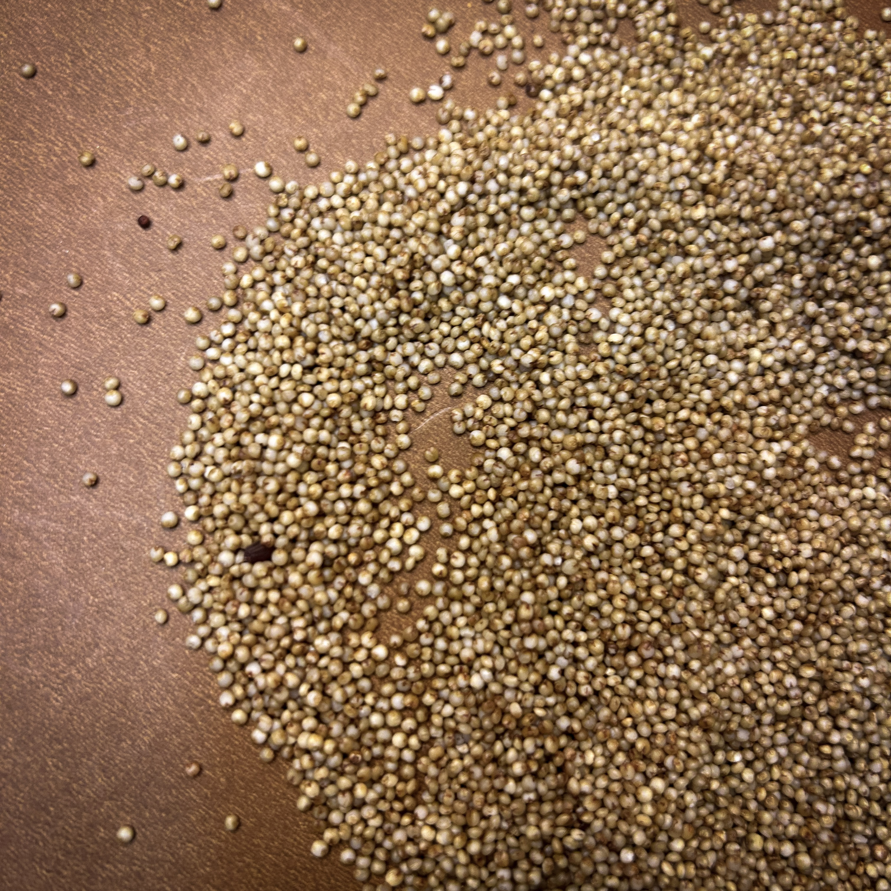 Arikelu KMR - Image 3